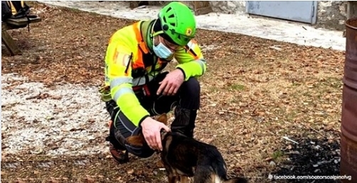Ein Heldenhund bleibt 7 Nächte bei einem verletzten Bergsteiger auf den gefrorenen Pisten